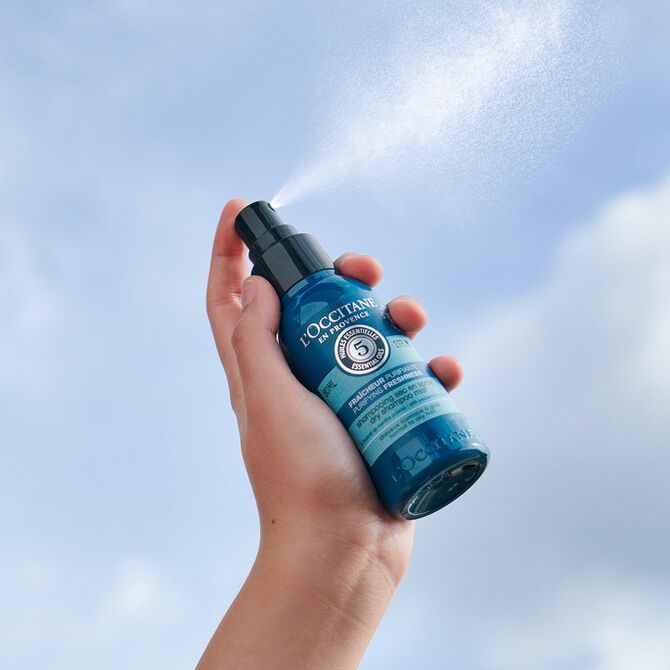 Volume & Strength L'Occitane Haircare L'Occitane en Provence